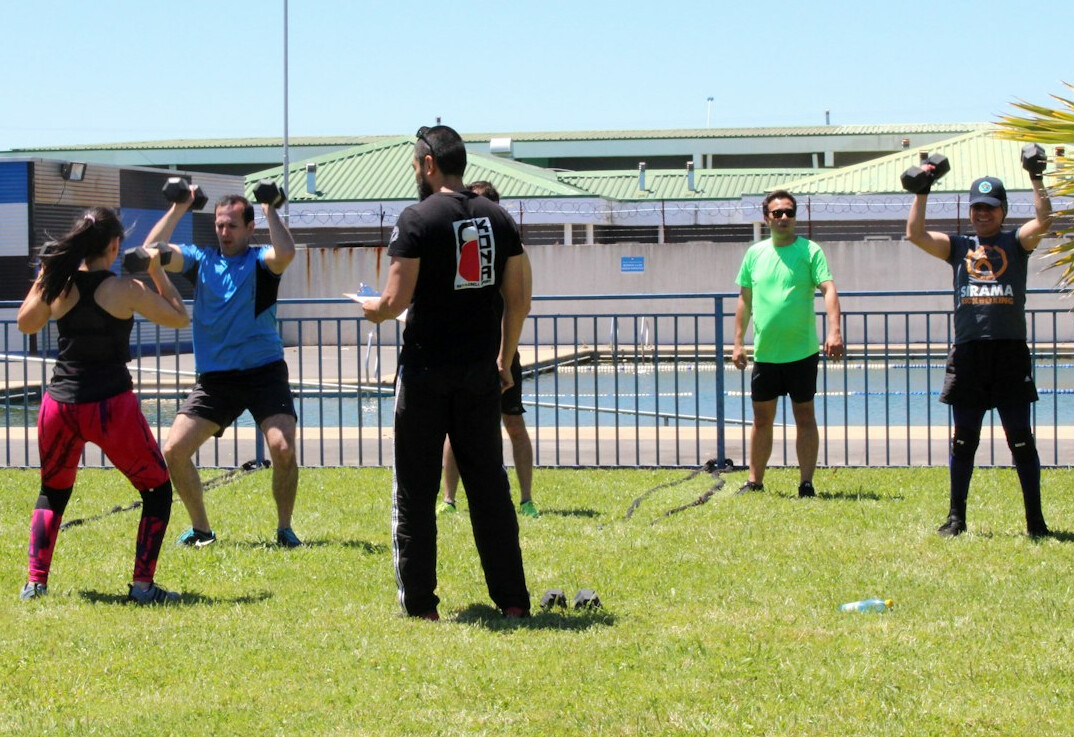 trainer leading workshop